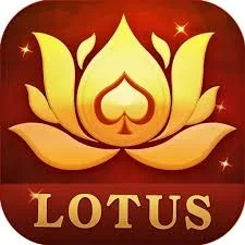 Lotus 365 Download APK